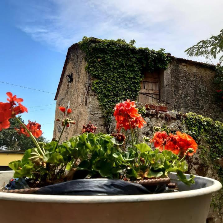 Affittacamere Varone Montaquila Exterior photo
